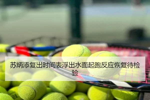 苏炳添复出时间表浮出水面起跑反应恢复待检验